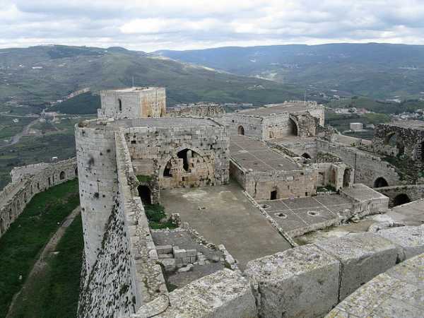 Крак де шевалье фото