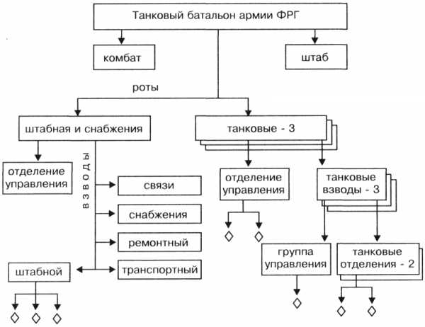 Постройте граф классификации биологической системы по следующему описанию word