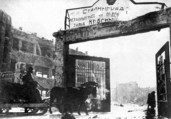 Фото после боев в сталинграде