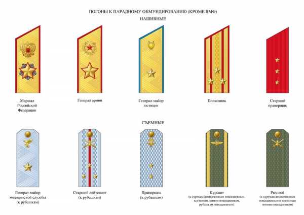 Размещение знаков различия на парадной форме нового образца со стойкой