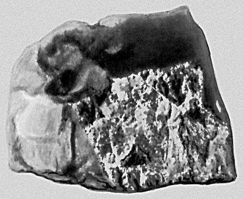 Кора плавления метеоритов фото