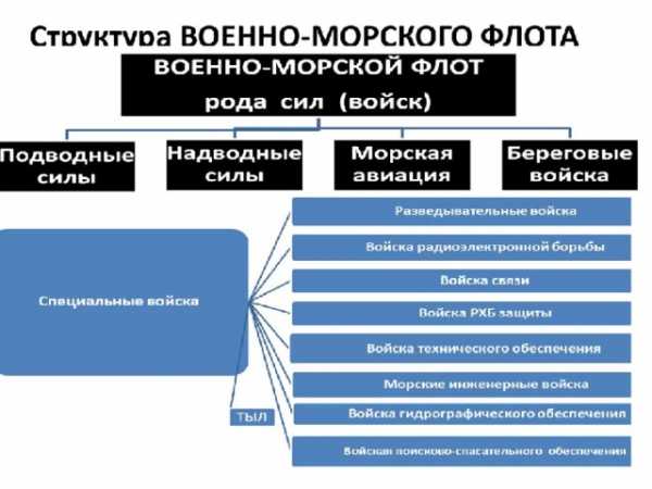 Структура вс россии схема