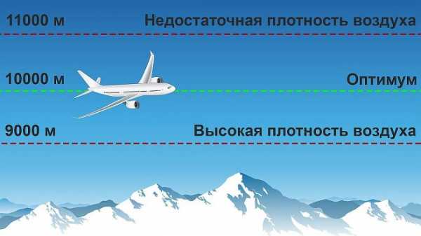 На какой высоте рупий в дивайн рпг